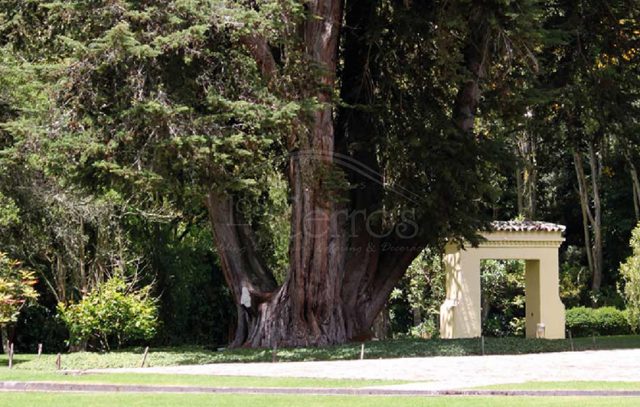 Consecucion de espacios galeria 7