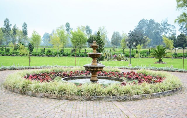 Consecucion de espacios galeria 8